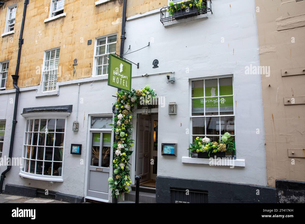 Haringtons in bath hi-res stock photography and images - Alamy