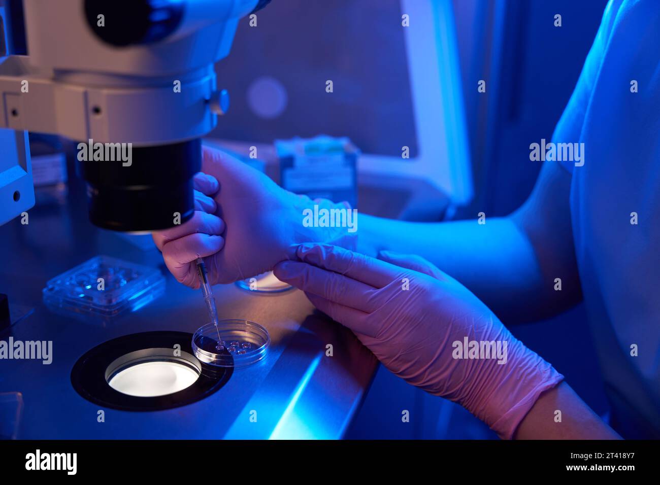 Lab female scientist loading eggs with syringe into Petri plate Stock Photo Alamy