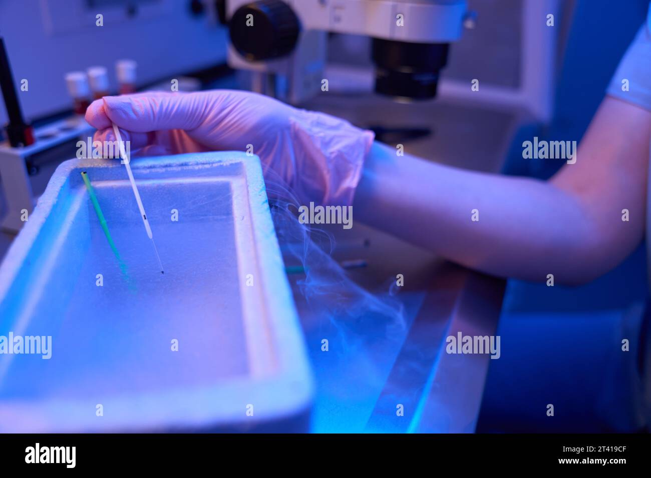 Lab researcher freezing cells in cryogenic freezer box Stock Photo Alamy