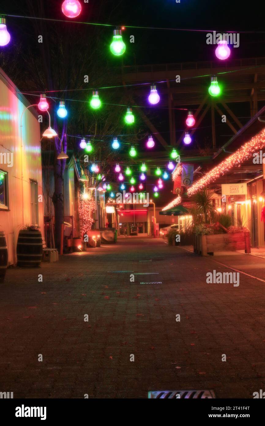 Granville Island and its beautiful Christmas Lights. Who else is ready