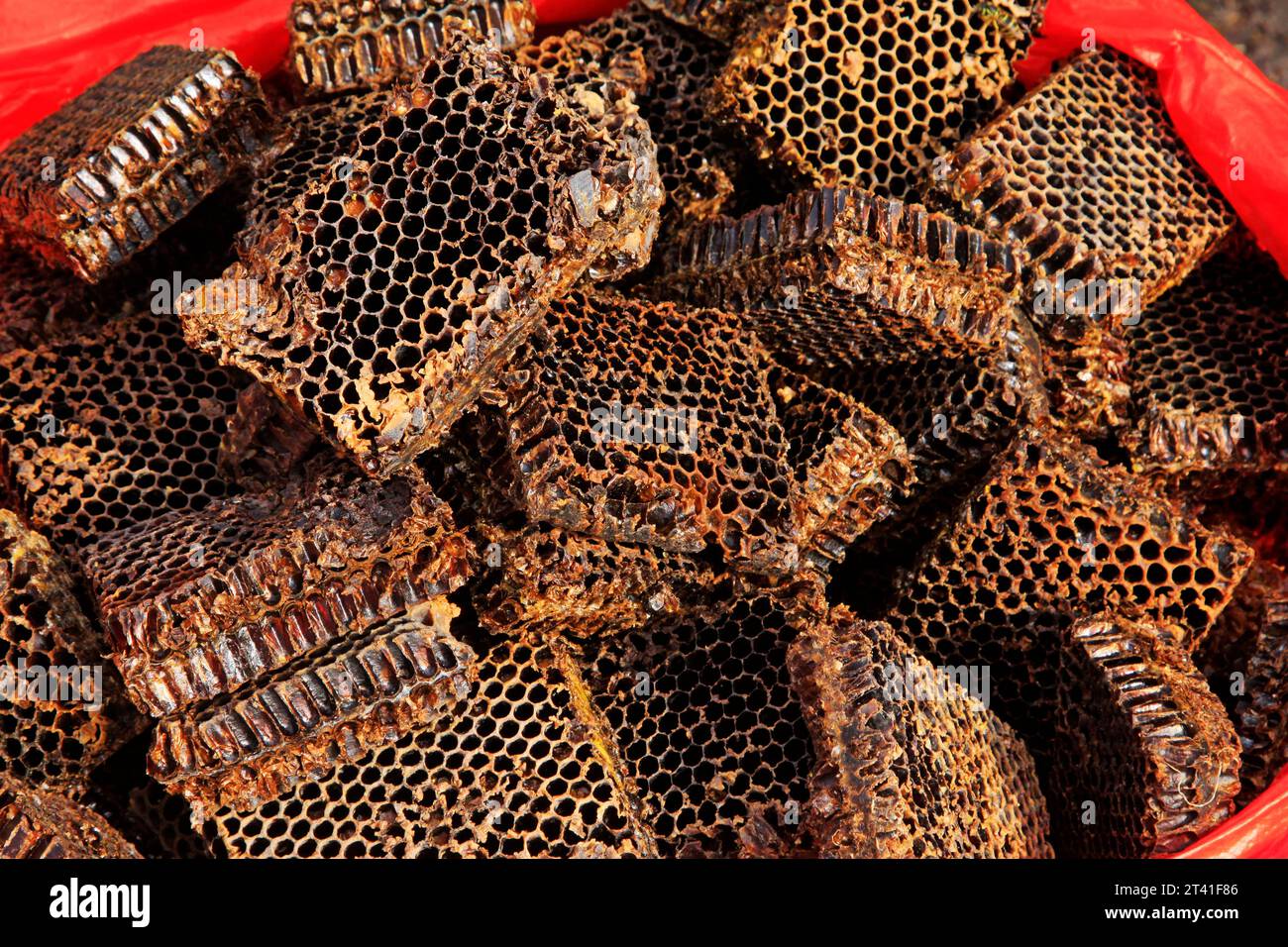 Honeycomb debris piled up together, closeup of photo Stock Photo