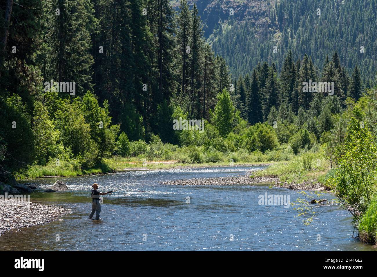 Fly fishing on the Minam Wild & Scenic River, Wallowa Mountains, Oregon. Stock Photo