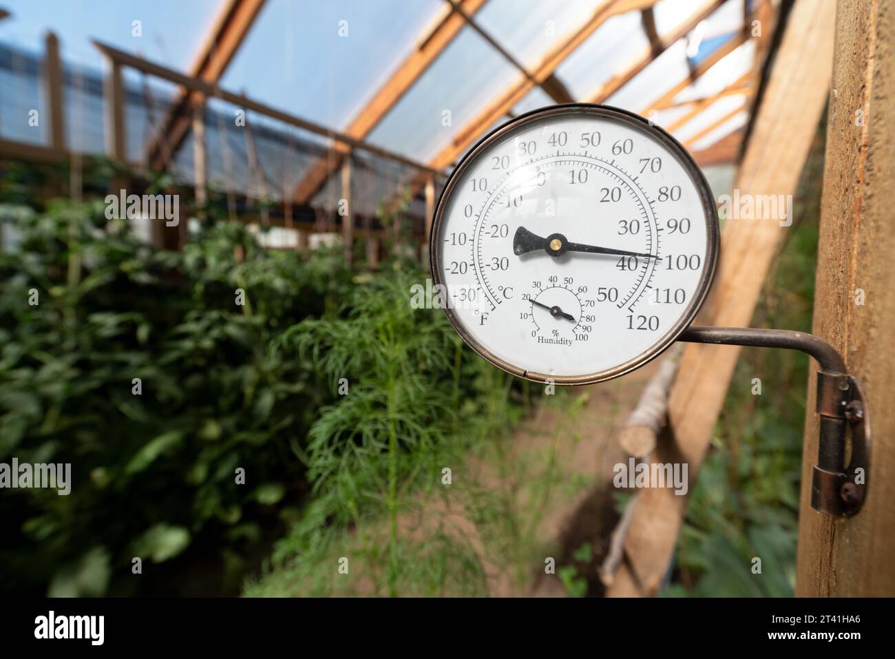 Thermometer in the greenhouse at the Minam River Lodge, Oregon. Stock Photo