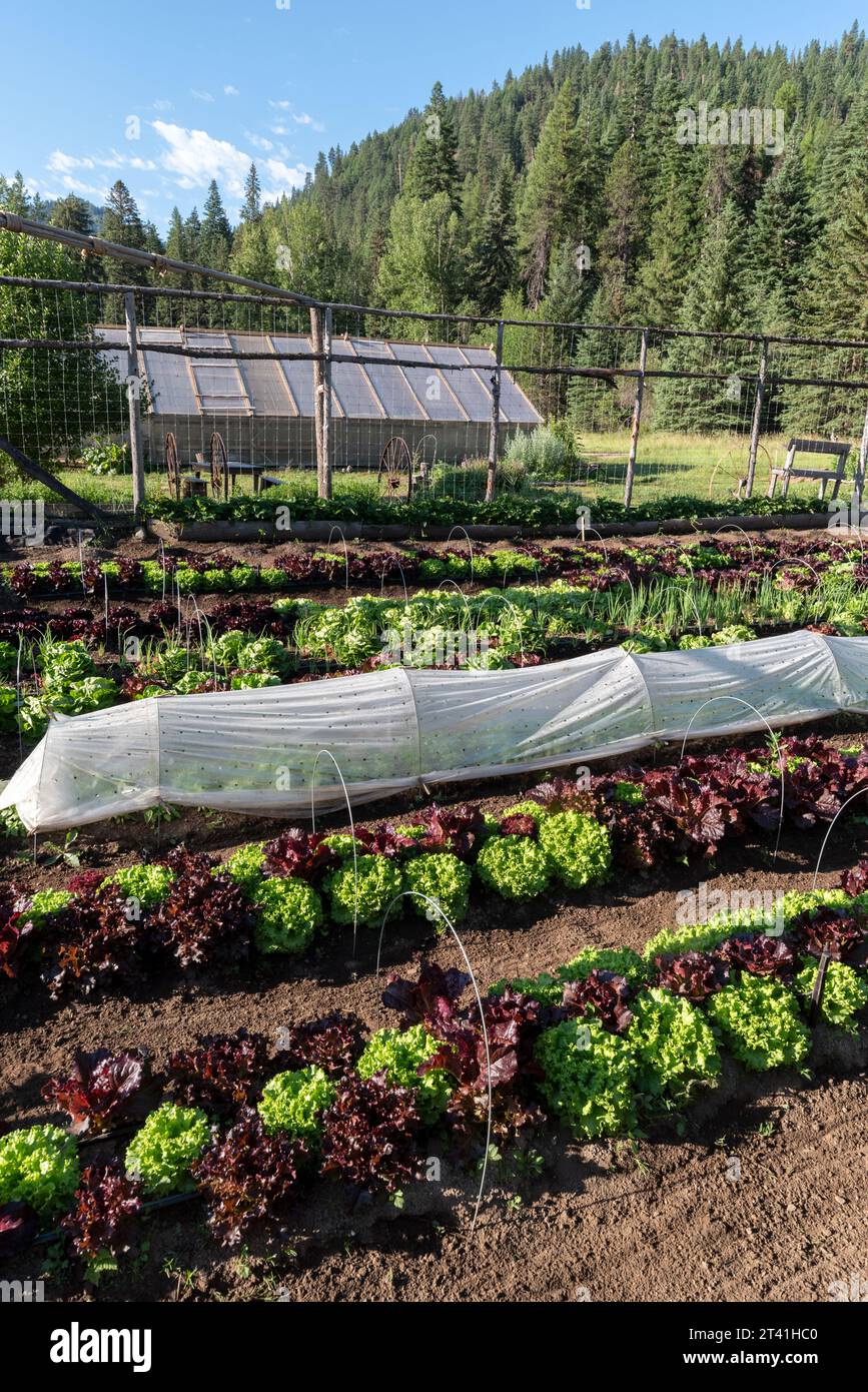 Gardenand greenhouse at the Minam River Lodge, Oregon. Stock Photo