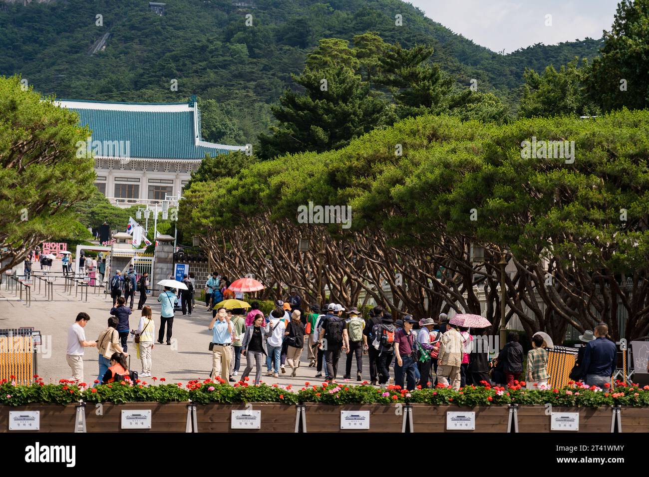 Seoul, Korea May 15, 2023 Tourists visiting Cheongwadae, the Blue