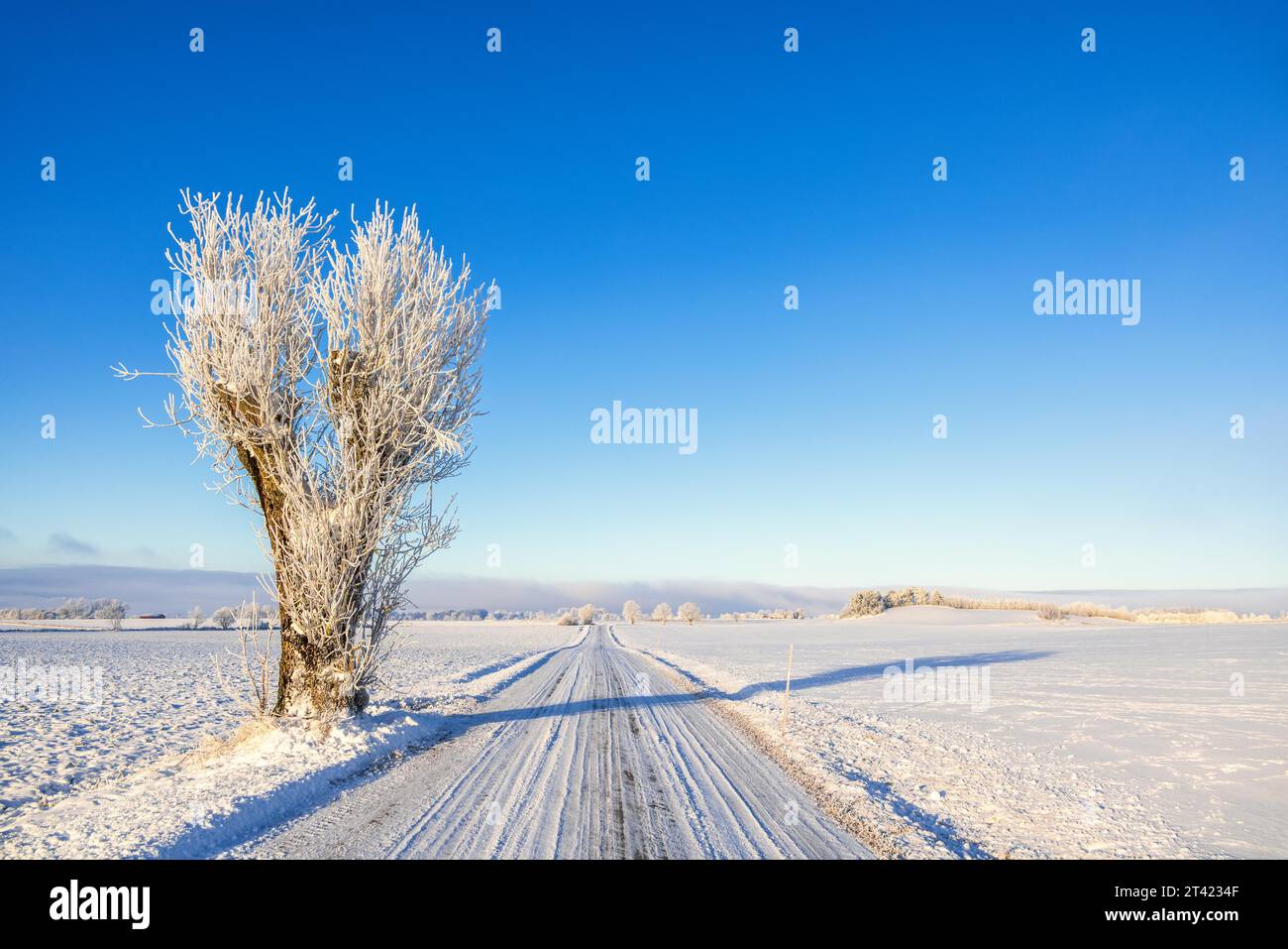 View at a empty country road with snow a sunny cold winter day in the countryside Stock Photo