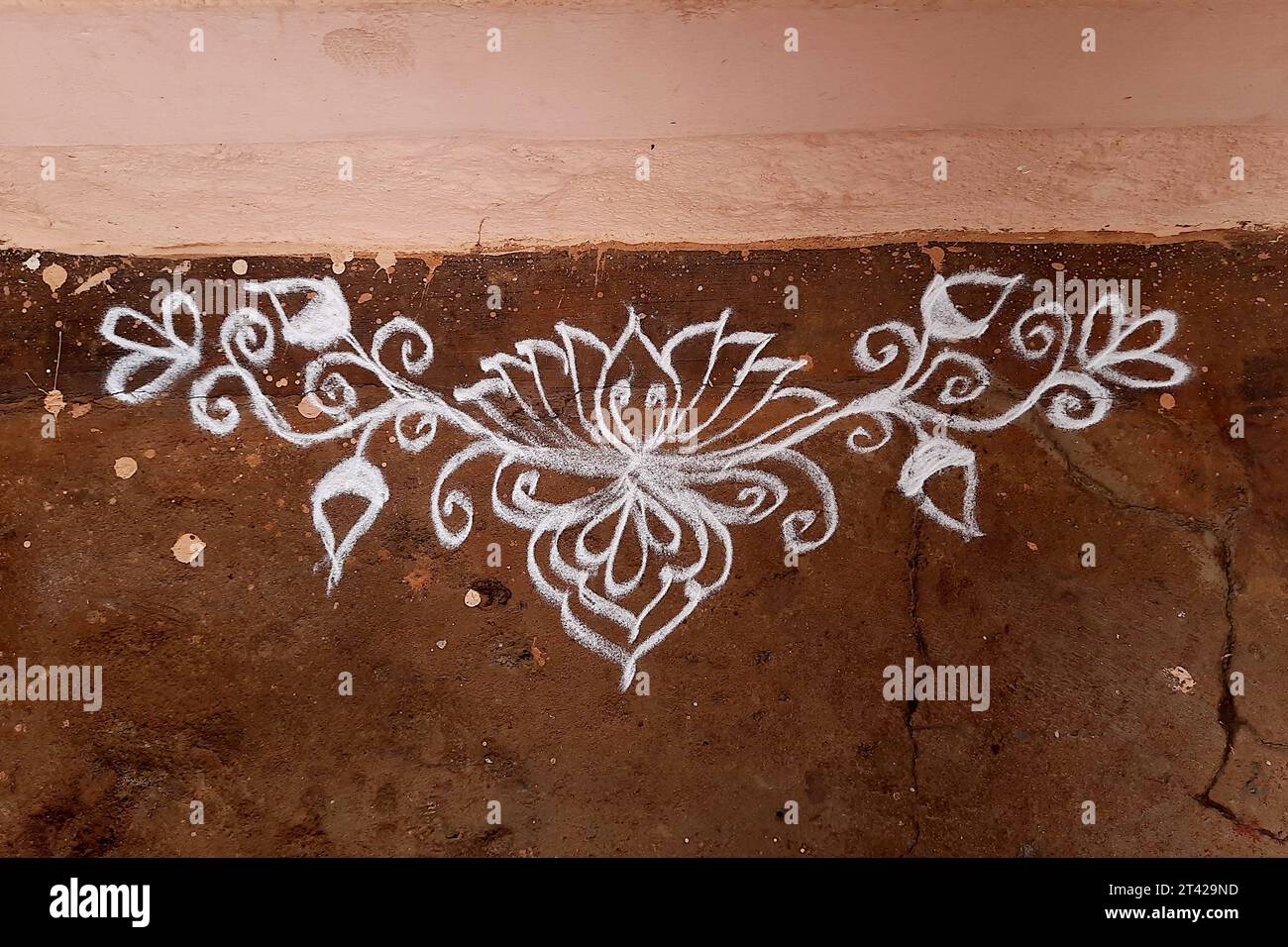 View of floral design of rangoli drawn with white stone powder on brown ...