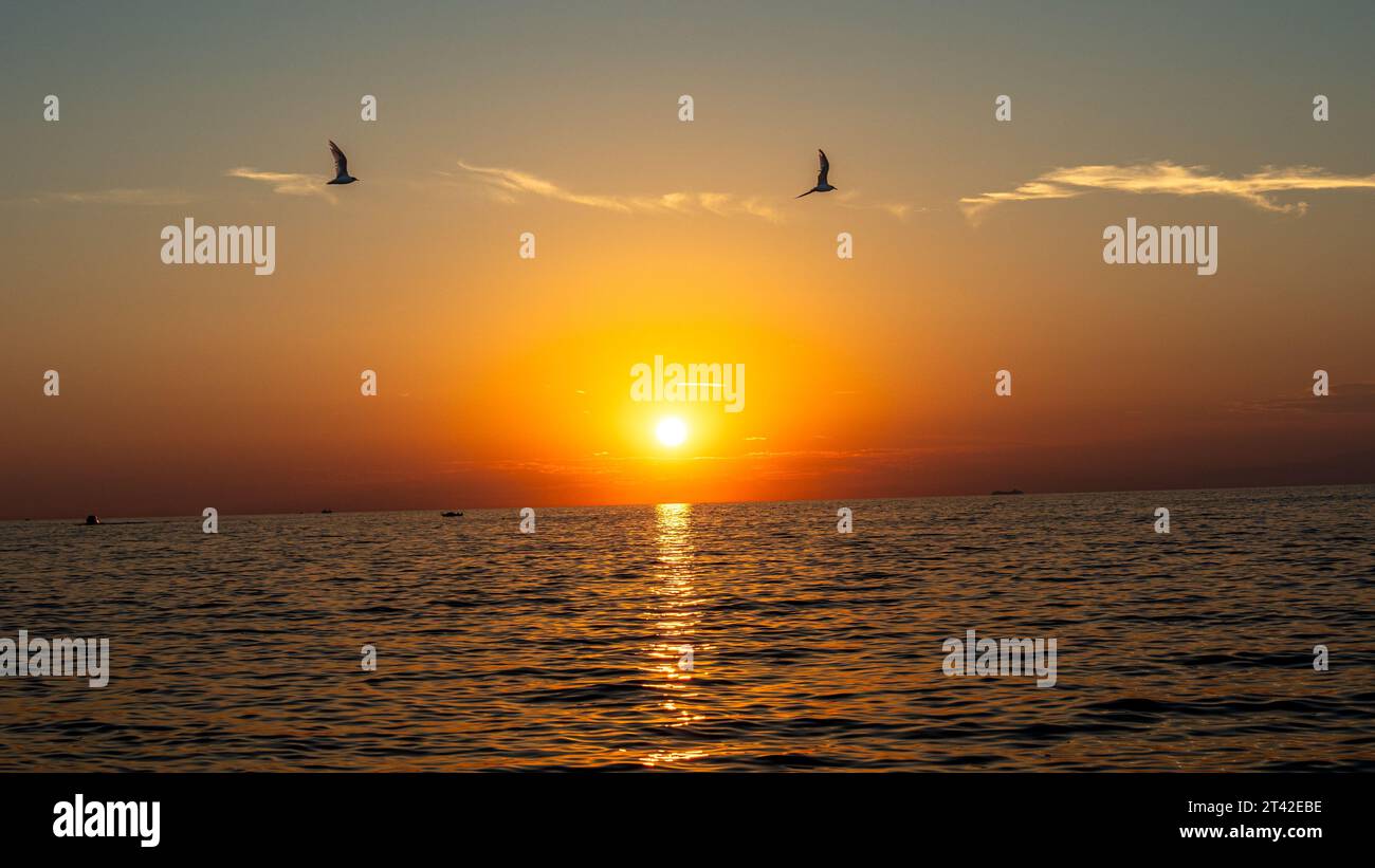 Two birds soaring through the air against a stunning backdrop of a ...