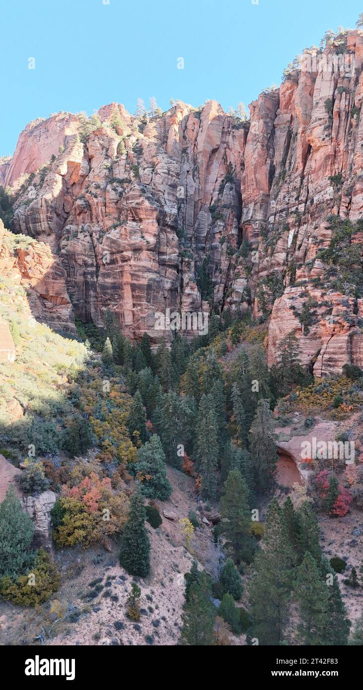 A stunning landscape featuring an array of rocky formations and lush ...