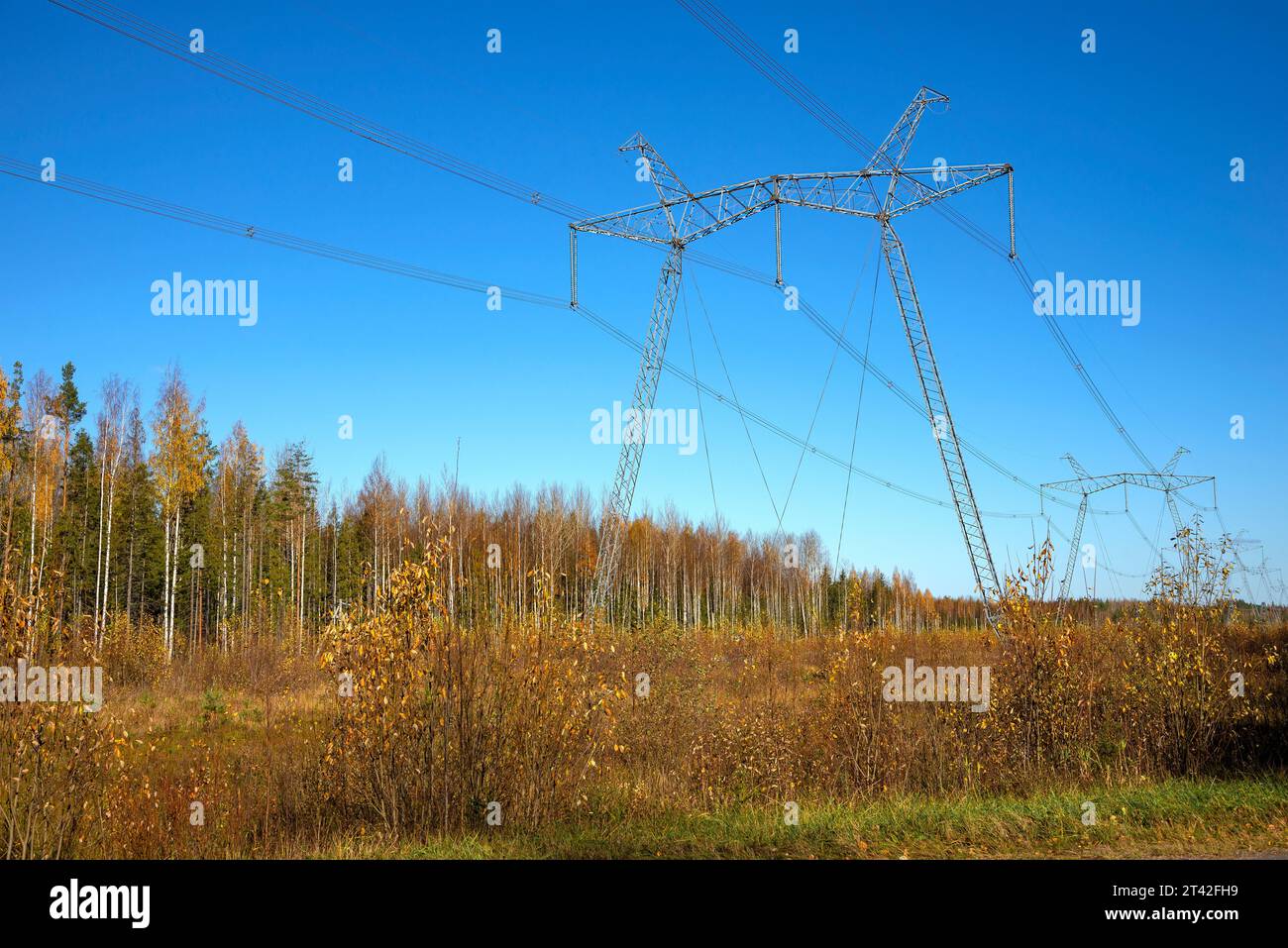 Electric power transmission line (transmission line) in the autumn