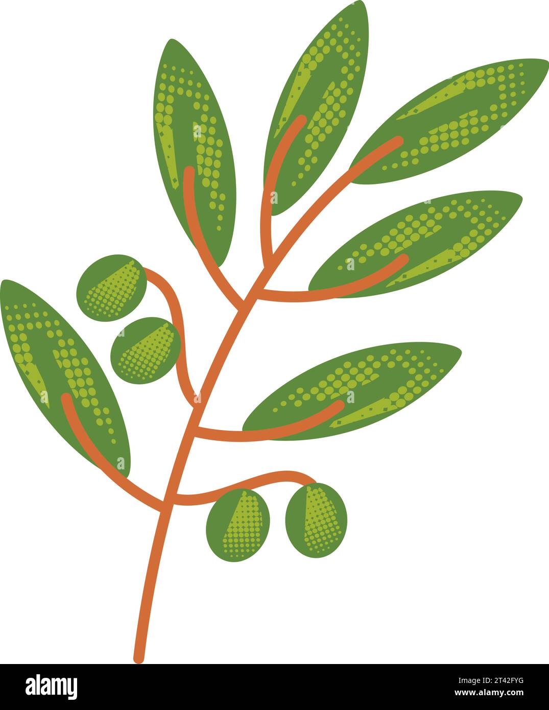 olive branch and leaves Stock Vector Image & Art - Alamy