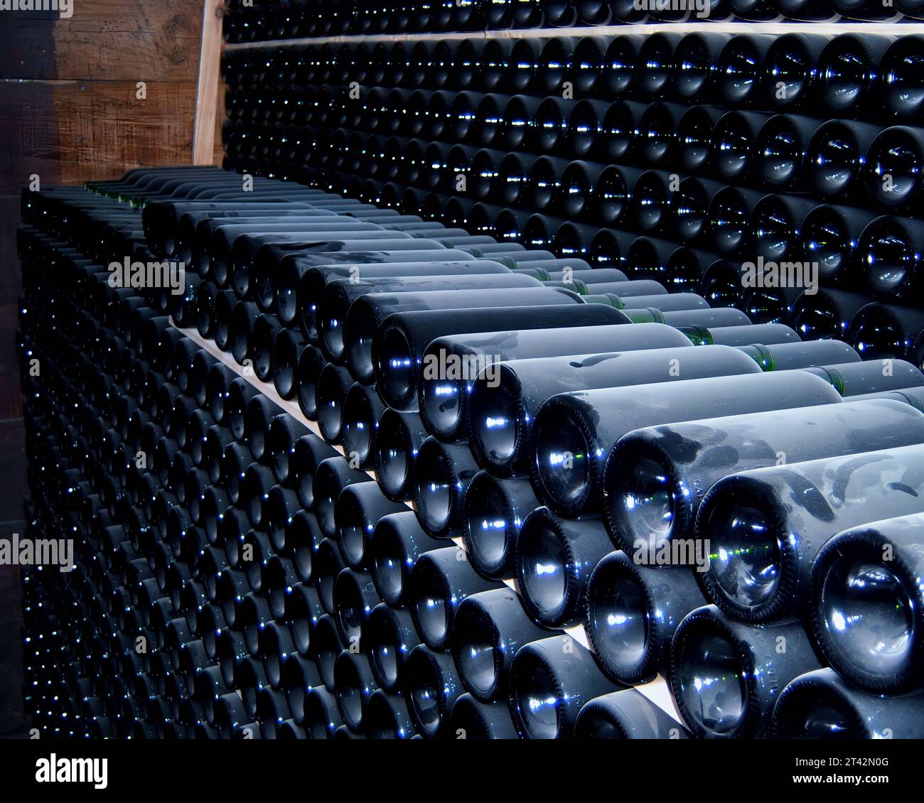 The dusty wine bottles in a cellar. Stock Photo