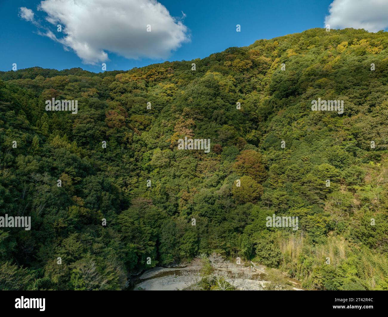 A scenic landscape featuring lush green hills under the blue sky Stock ...