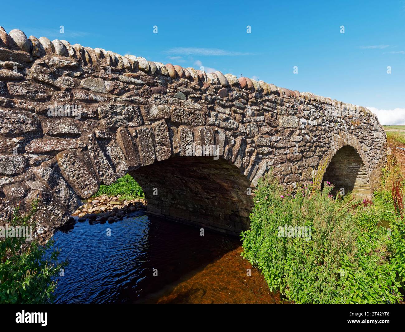 An old restored double arched stone footbridge spanning a small burn at the Haughs of Benholm on the Aberdeenshire Coastal Path. Stock Photo