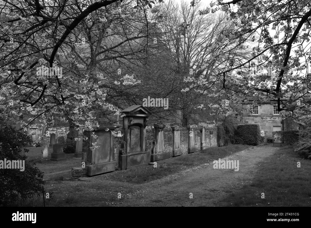 Spring view over St Cuthbert’s Kirkyard, Princes Street Gardens