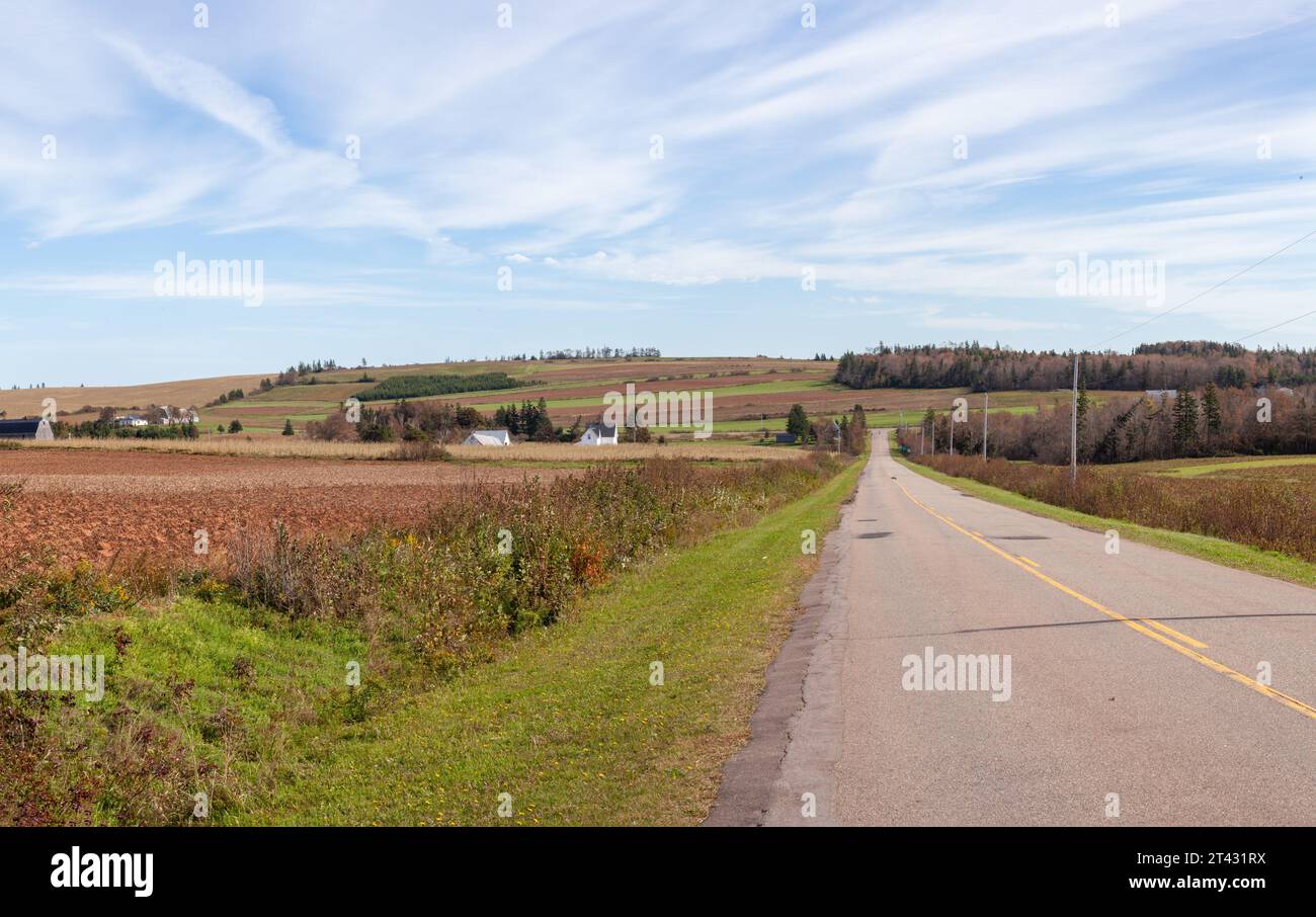 Straight road through rural landscape, Prince Edward Island, Maritime Provinces, Canada Stock Photo