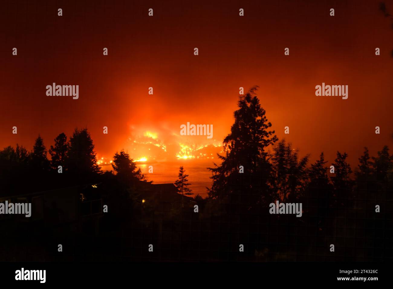 Silhouette of a forest and forest fire in summer, Kelowna, Okanagan Valley, British Columbia, Canada Stock Photo