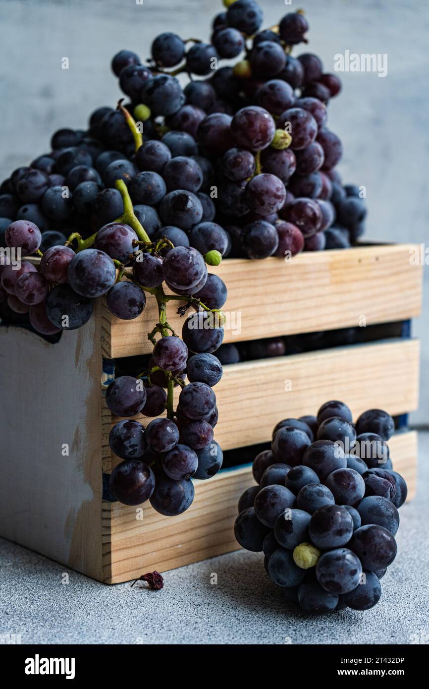 Close-up of bunches of saperavi black grapes spilling out of a crate Stock Photo