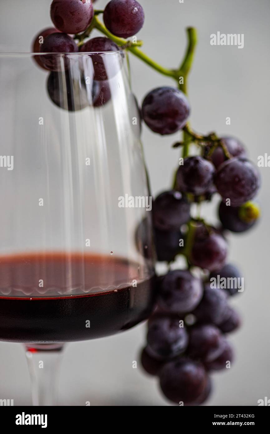 Glass of red wine with a bunch of saperavi black grapes Stock Photo