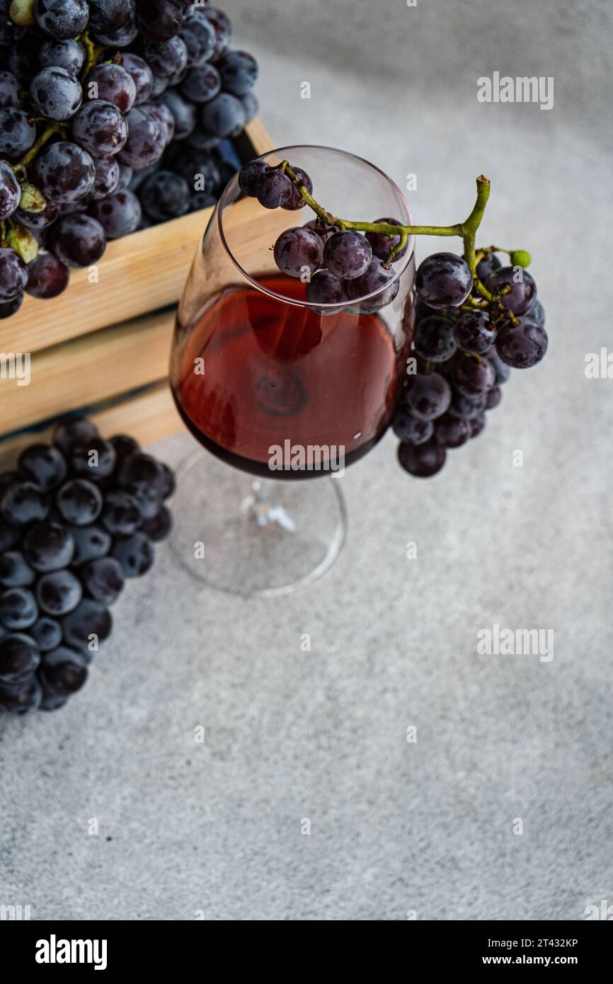 Glass of red wine with bunches of saperavi black grapes Stock Photo