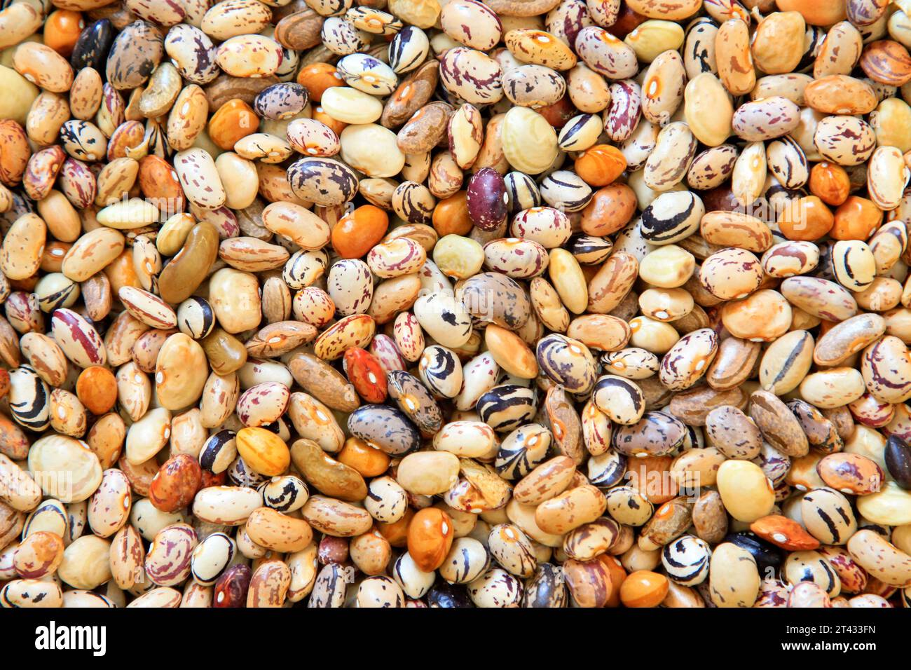 Dry pea plants hi-res stock photography and images - Page 2 - Alamy