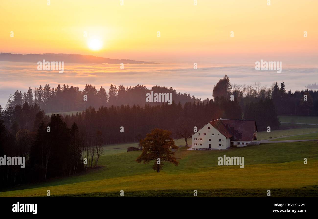 Landscape in the Allgäu in autumn at sunset. A farm in front, clouds in the valley. Allgäu, Germany. Image taken from public ground. Stock Photo