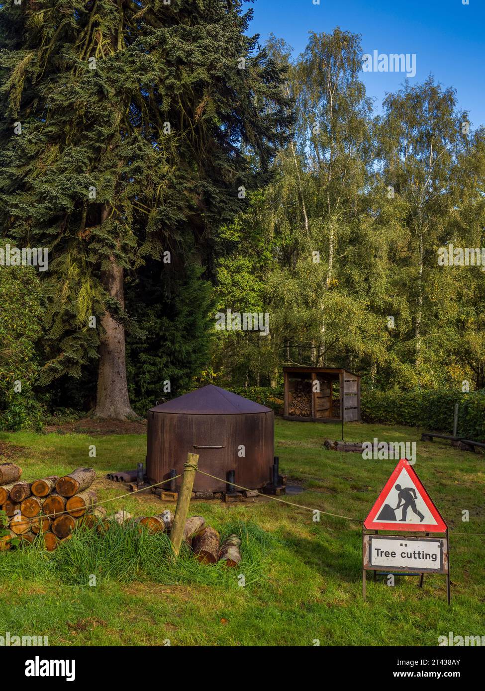 Clearing in Woodland, Harcourt Arboretum, Oxfordshire, England, UK, GB. Stock Photo