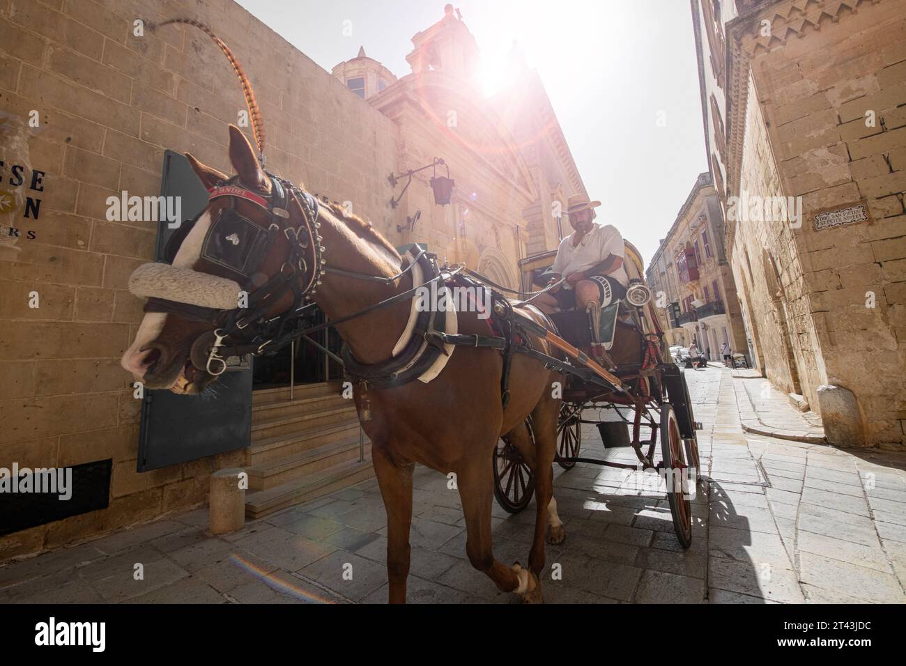 Horse and carriage transport in the historic city of Mdina in Malta Stock Photo