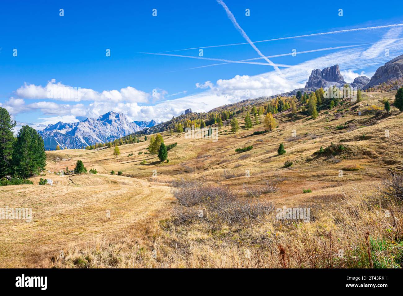 Idyllic view of an alpine meadow and mountains with larch trees in autumn colors in Ampezzo Dolomites Natural Park, Italy. Stock Photo