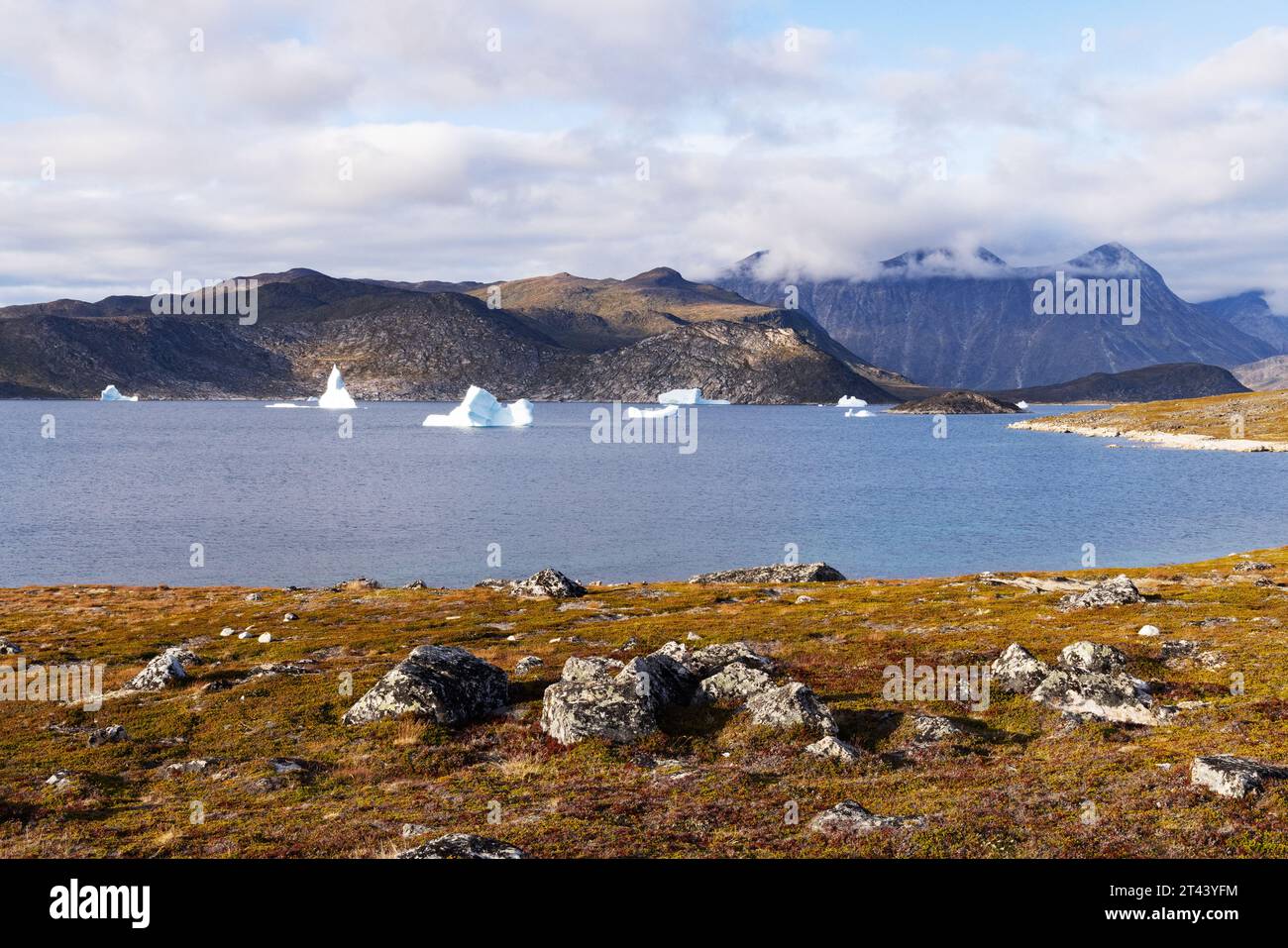 South Greenland landscape in september, early autumn, Uunartoq Island, with lakes, tundra, mountains and icebergs; Greenland Europe. Greenland travel. Stock Photo