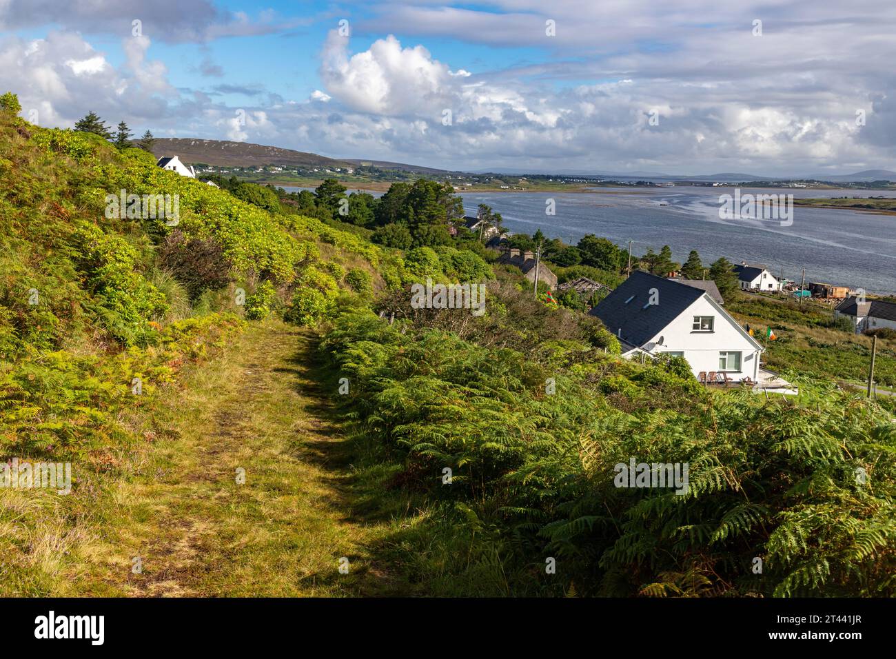 Granuaile Loop Walk Trail with houses and vegetation, Derreen, Achill