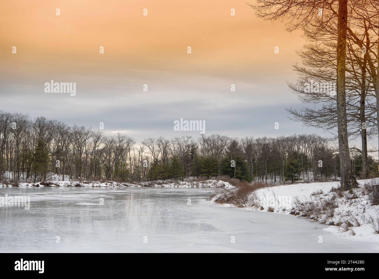 A frozen pond within Beebe hill state forest park in Austerlitz New York on cold winter day
