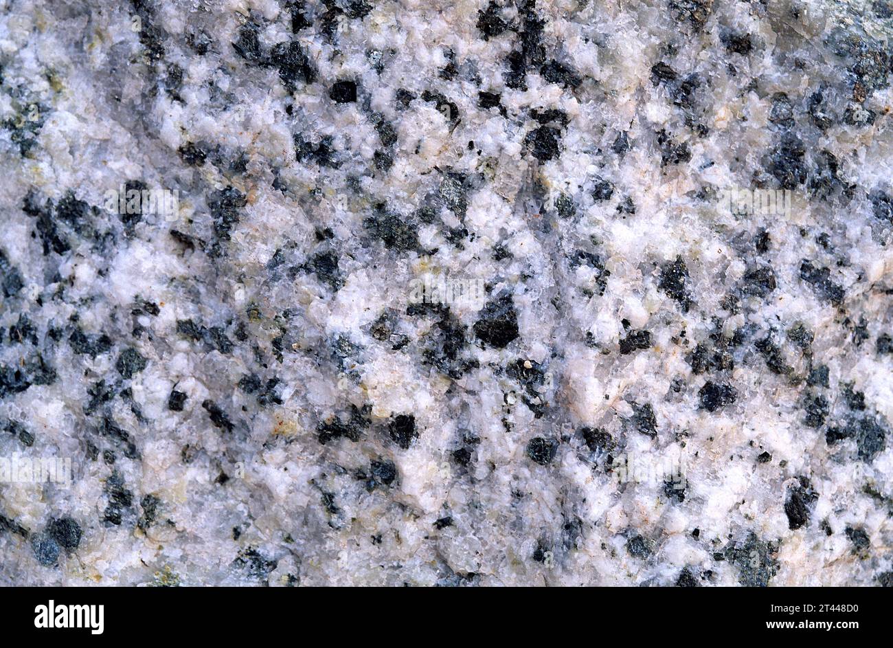 Granite is an igneous intrusive rock with holocrystalline texture. Surface detail. Stock Photo