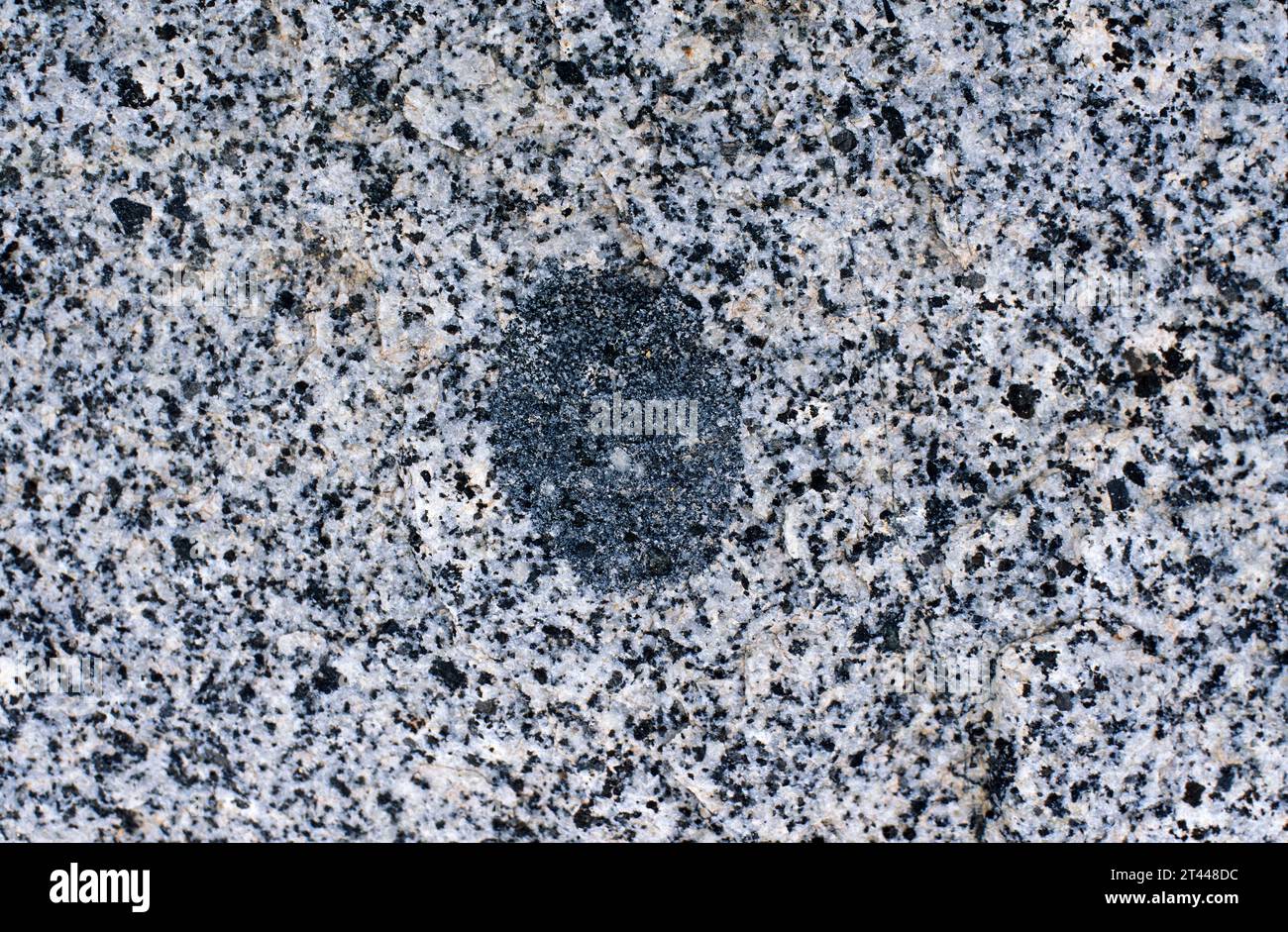Xenolith (black) on a granite block. Stock Photo