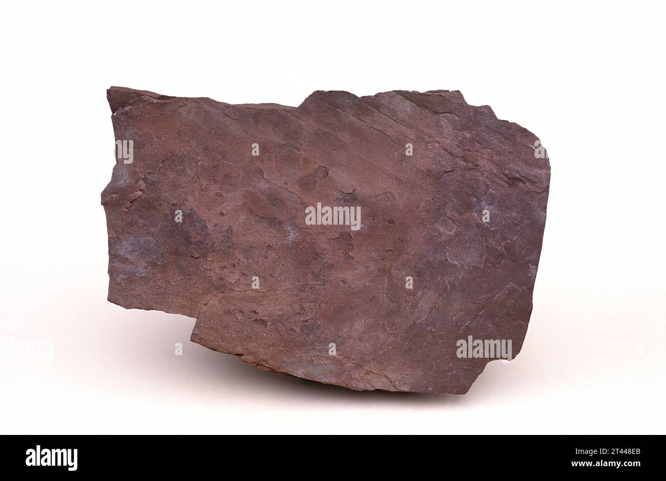 Lutite or pelite is a fine-grained sedimentary rock. Sample. Stock Photo