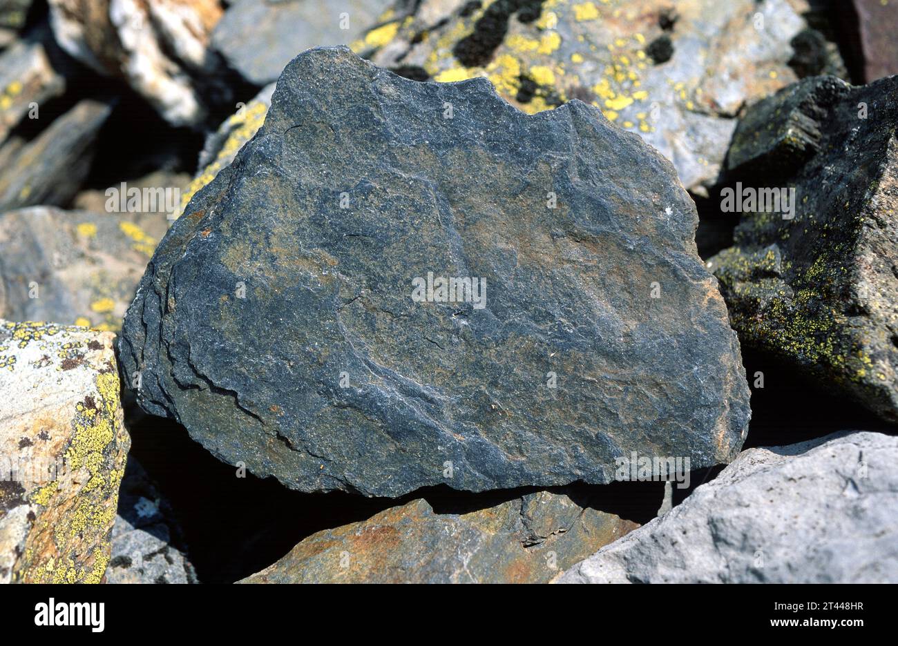 Slate is a foliated metamorphic rock. Sample. Stock Photo