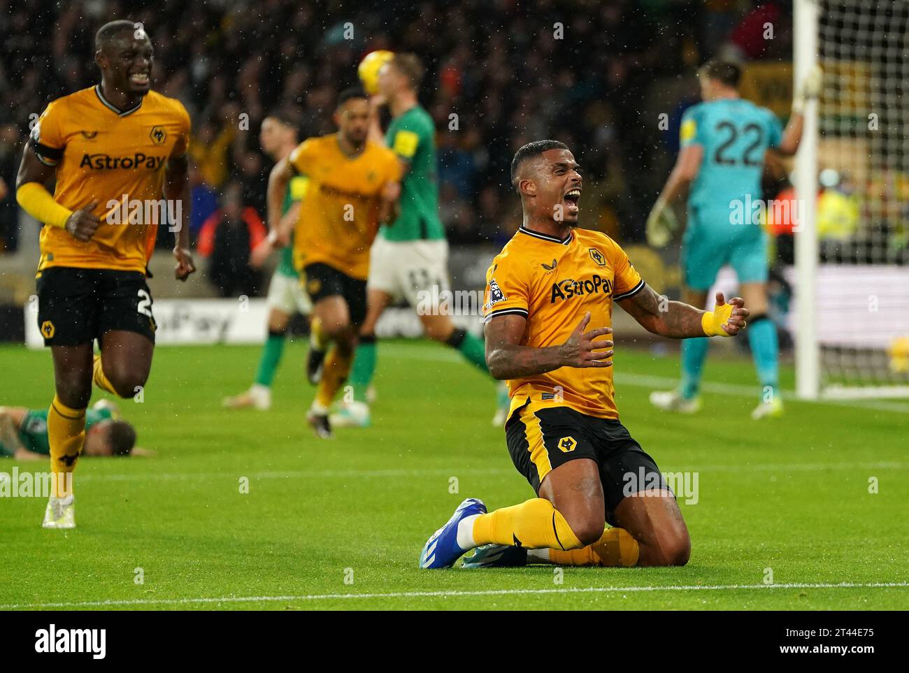 Wolverhampton Wanderers' Mario Lemina celebrates scoring their side's ...