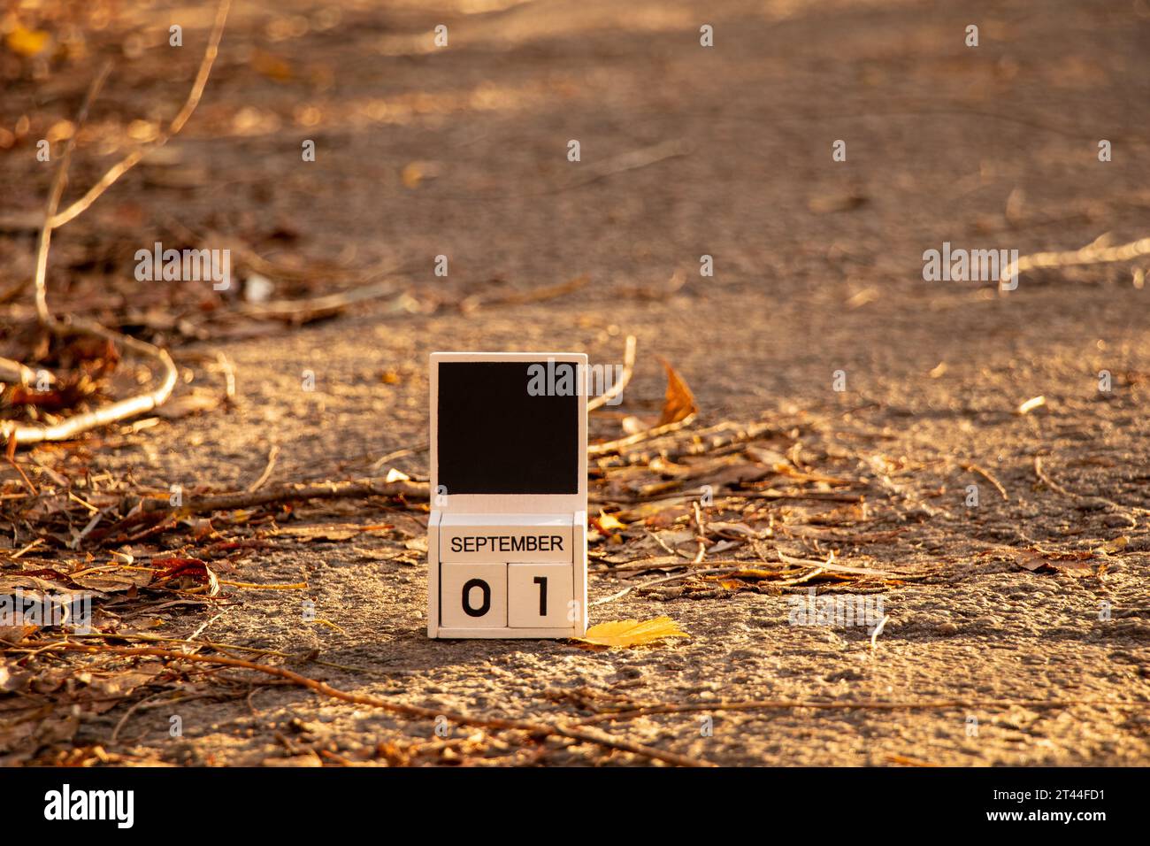 A calendar made of cubes with the date the first of September stands on an autumn road in a park in the sun, the beginning of the autumn season, autum Stock Photo