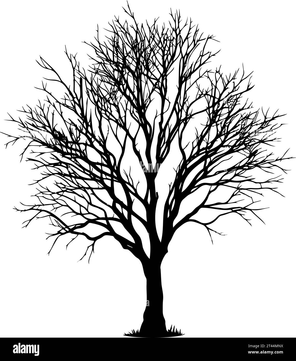 Winter leafless tree silhouette. Vector illustration Stock Vector