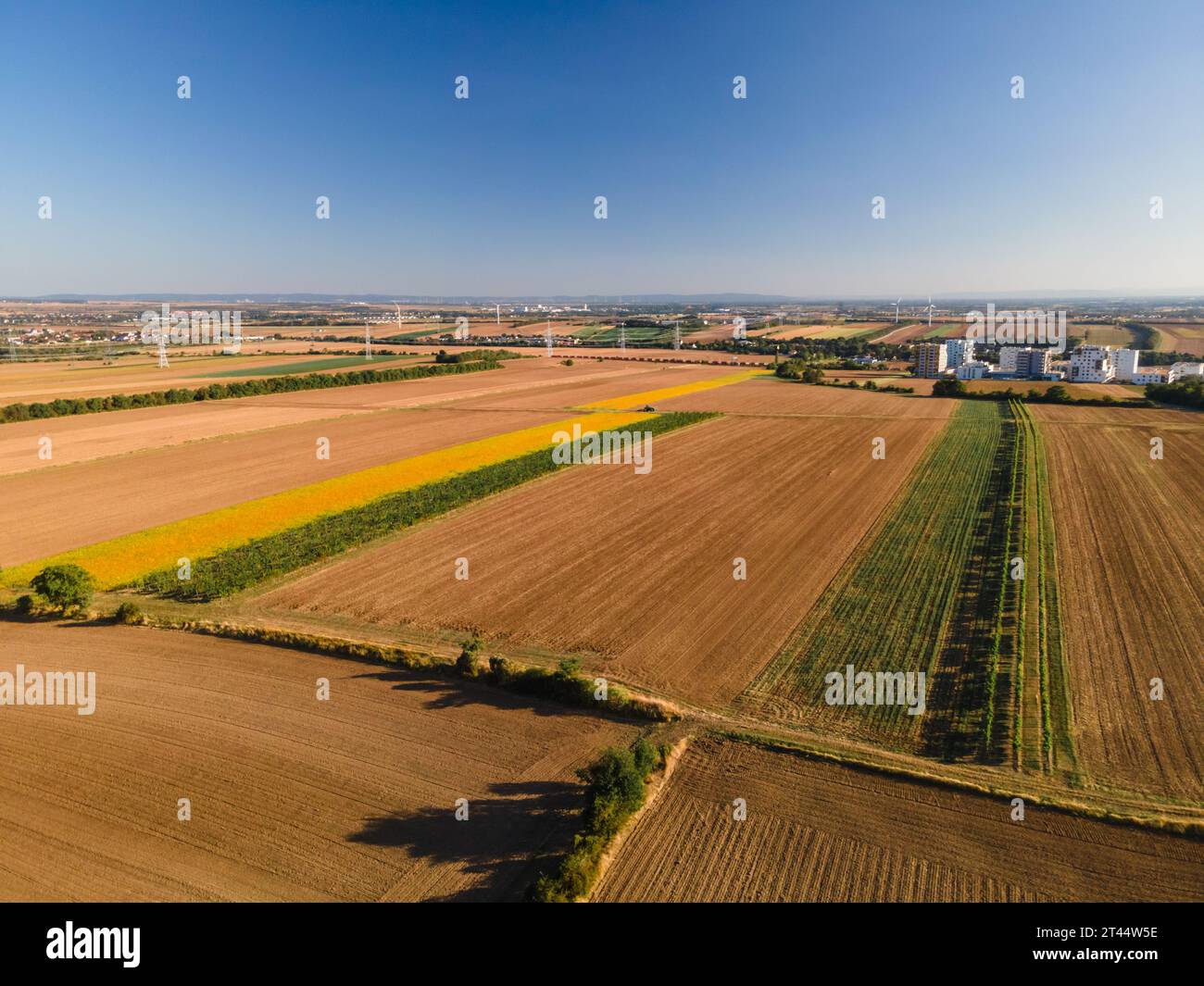 Drone view down on agriculture crop land with wheat fields and Vineyards in Vienna Stock Photo