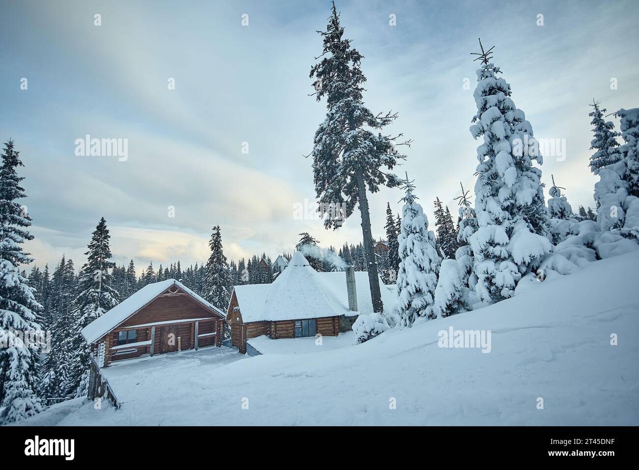 Beautiful scenery snowy forest hi-res stock photography and images - Alamy