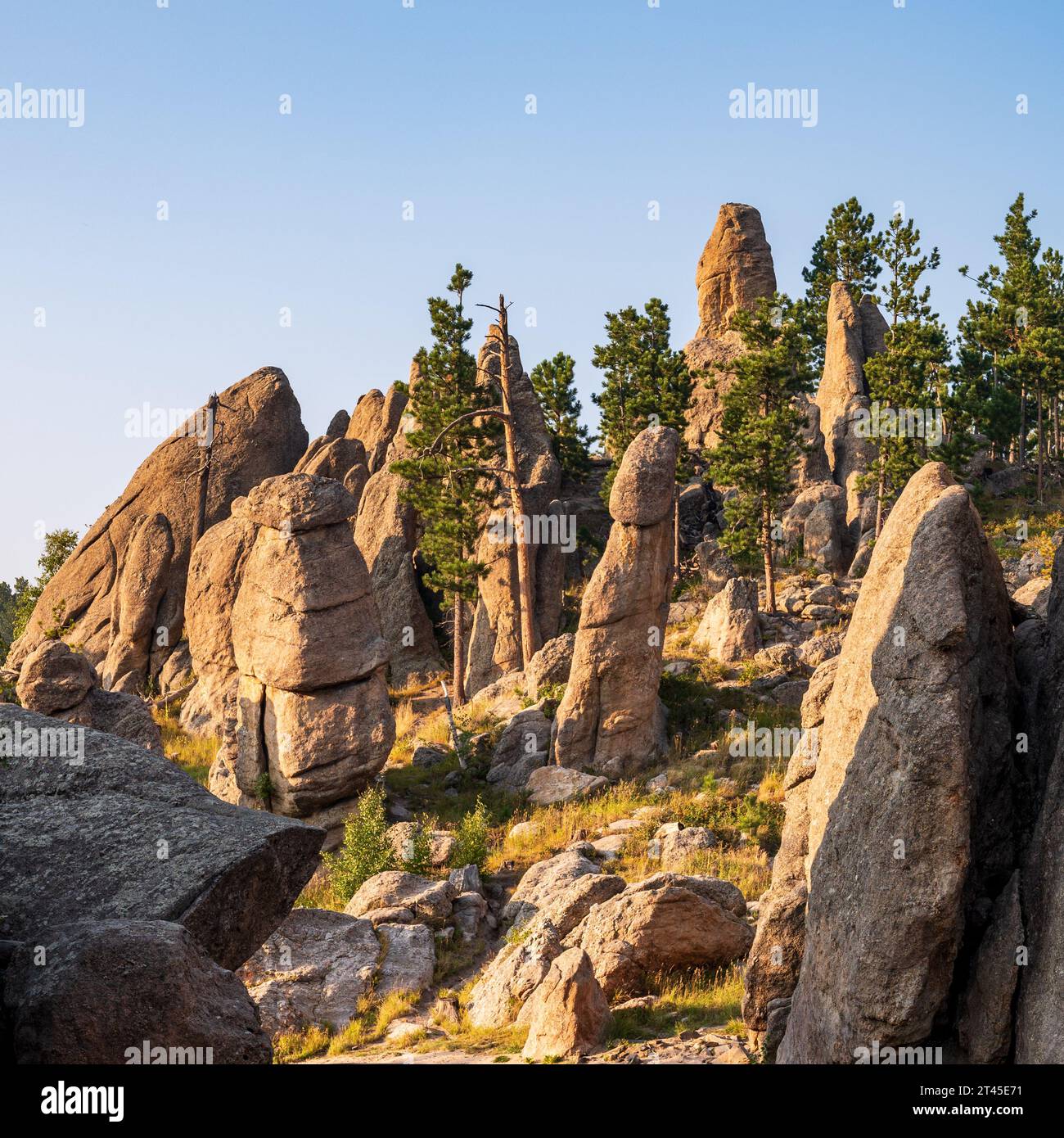 The Needles Rock Formations in Custer State Park in South Dakota Stock