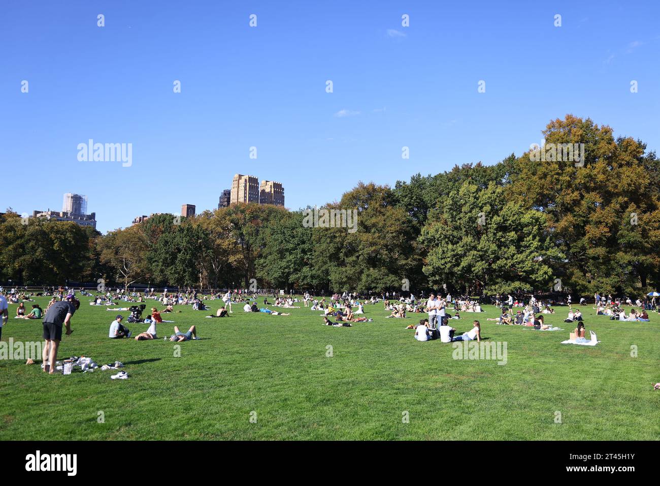 The Sheep Meadow in Central Park is full of people enjoying the fall