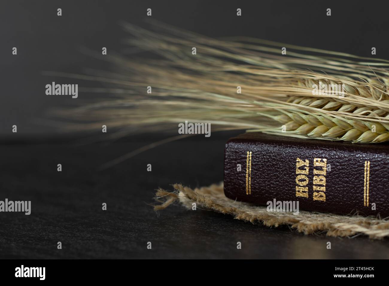 Ears of barley on closed holy bible book with golden text on dark background. Close-up. Spring harvest season, Christian spiritual firstfruits concept. Stock Photo