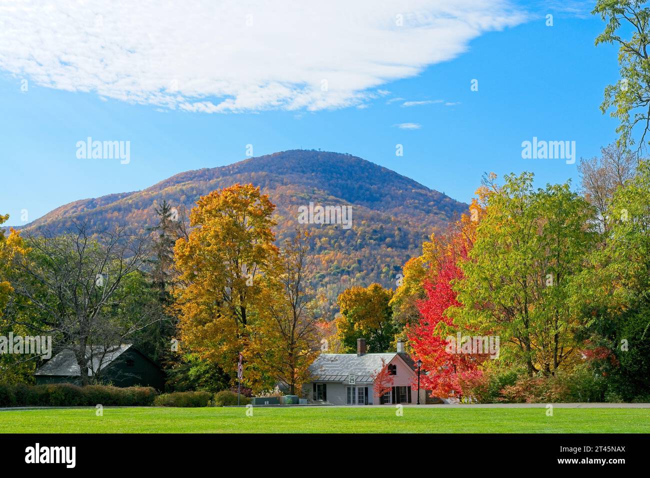 Brightly lit autumn trees surround colonial houses with colorful Taconic mountains behind Stock Photo
