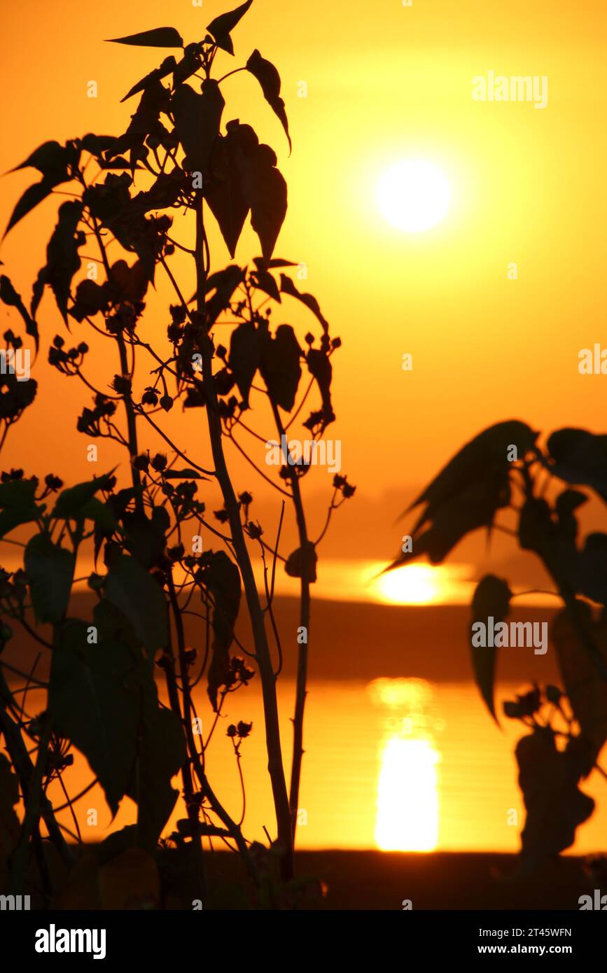 Sunset Capture Stock Photo