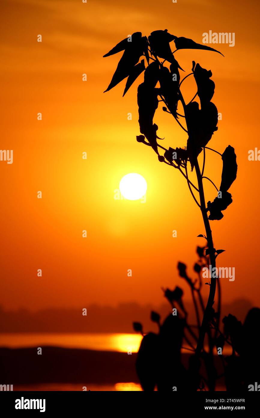 Sunset Capture Stock Photo