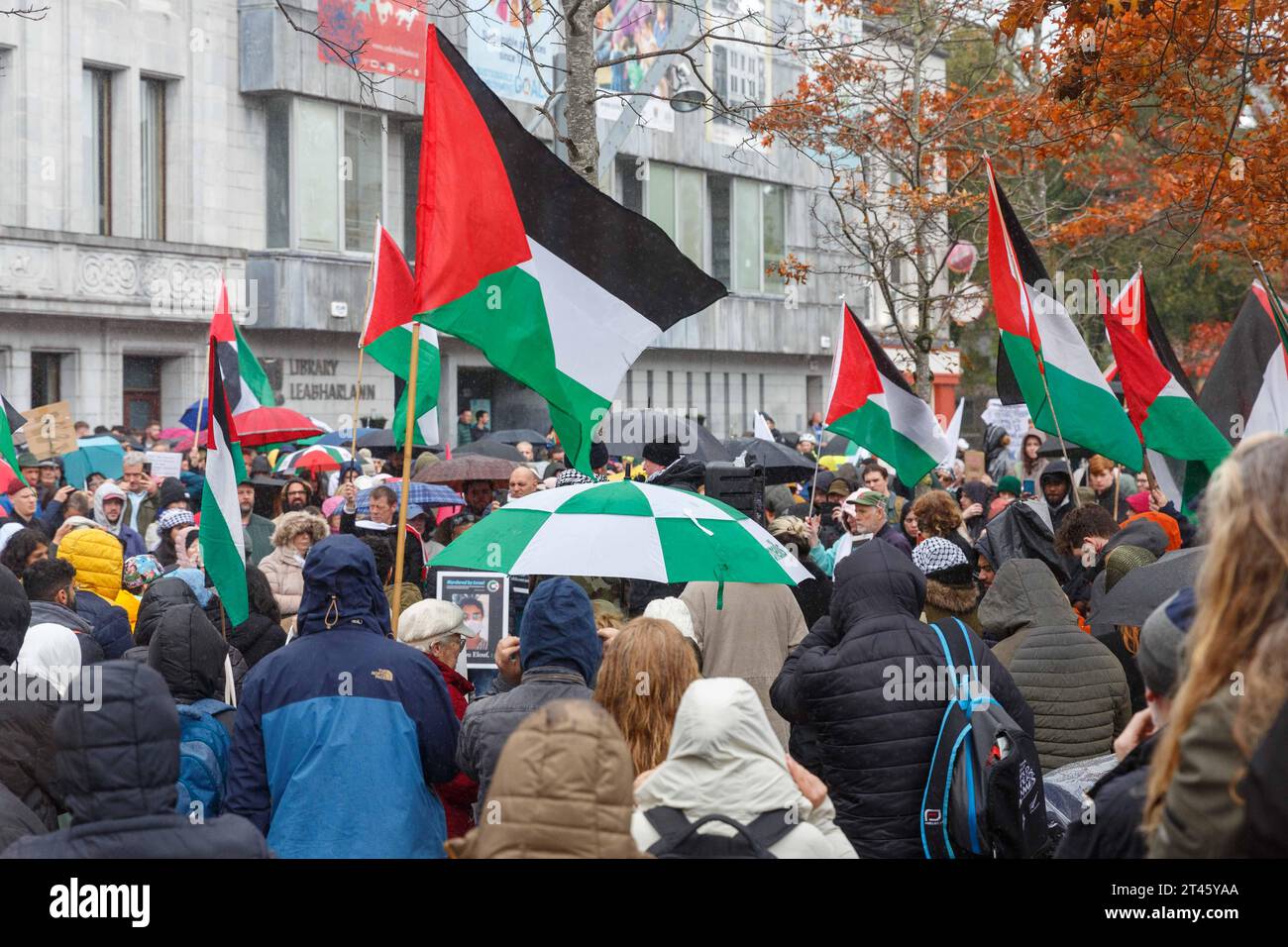 Cork, Ireland. 28th Oct, 2023. DC 28-10-23 People of Cork Standing in Solidarity with Palestine Despite the Heavy Rain, Cork, Ireland. Amidst the heavy rain showers, Cork City today witnessed a resounding display of solidarity for the people of Palestine. Echoing back to Ireland's longstanding support for the Palestinian cause, impassioned voices echo through the streets, embodying a historic bond of empathy and unity. Despite the weather's, the spirit of the protest remains resilient with a collective call for justice and peace. Credit: Damian Coleman/Alamy Live News Stock Photo