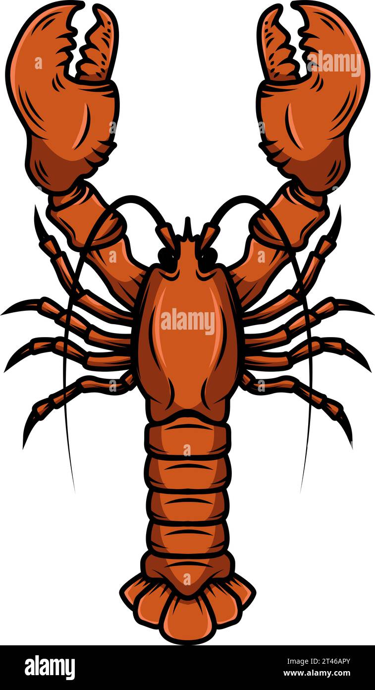 Lobster. Vintage illustration of lobster. Seafood. For logo, label ...