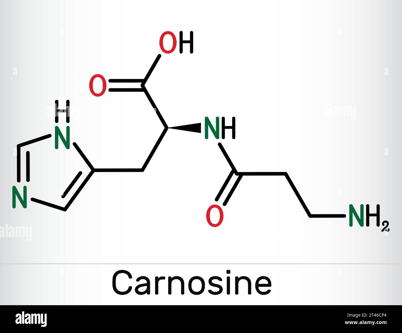 Structure Of Dipeptide